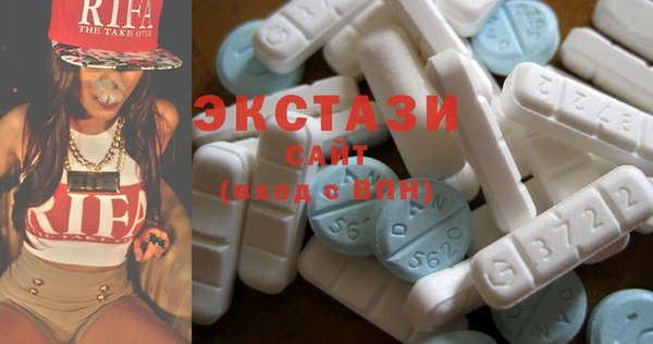 гашик Алексин