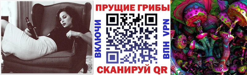 Галлюциногенные грибы Psilocybe Приволжский